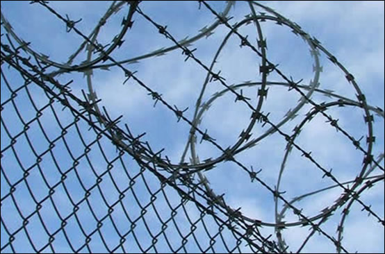 Chain Link Fence Panels and Concertina Barbed Wire Coils