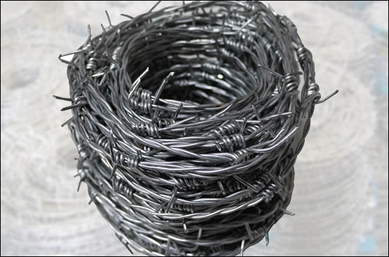 Double stranded barb wire coils