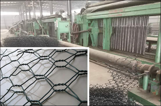 PVC Coated Double Twisted Wire Mesh