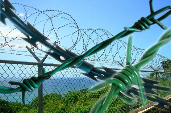 Security fencing of Galvanized pvc coated chain link fence with barbed wire and concertina coils